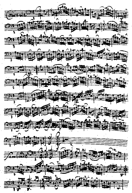 Cello Suite No. 1 in G: Courante - Sarabande